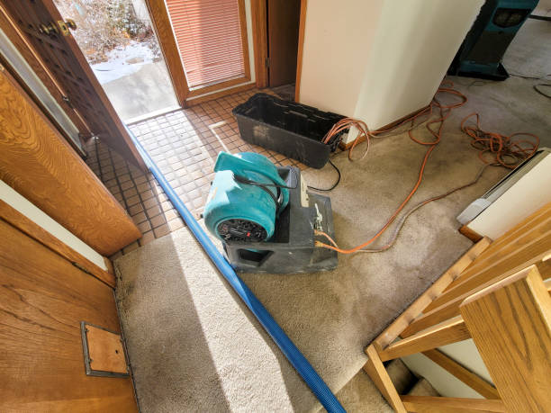 Best Water damage restoration process  in Jupiter Farms, FL
