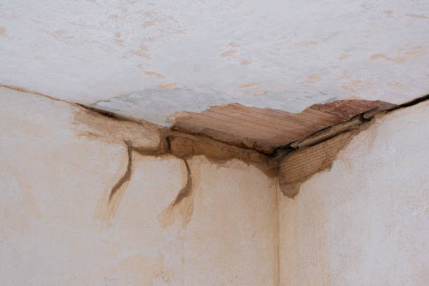 Best Flooded house restoration  in Jupiter Farms, FL