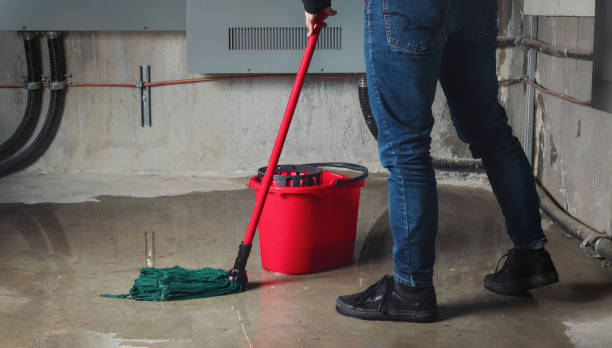 Best Basement water damage restoration  in Jupiter Farms, FL