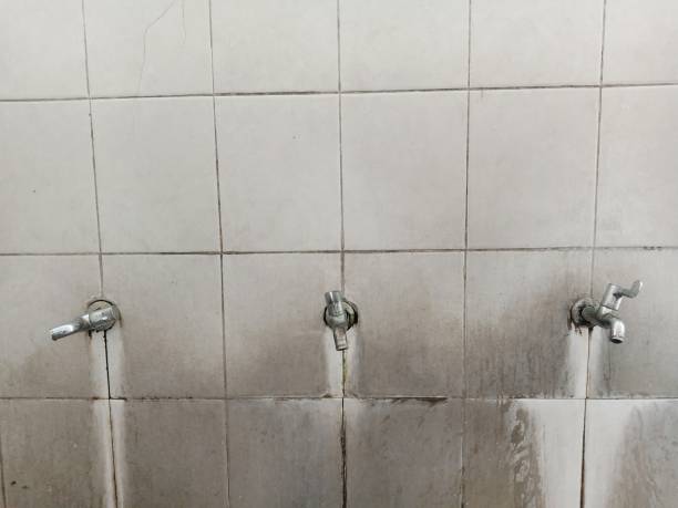 Best Flood restoration services  in Jupiter Farms, FL
