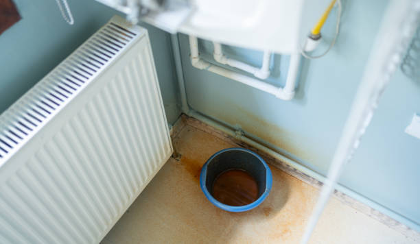 Best Water damage contractors near me  in Jupiter Farms, FL