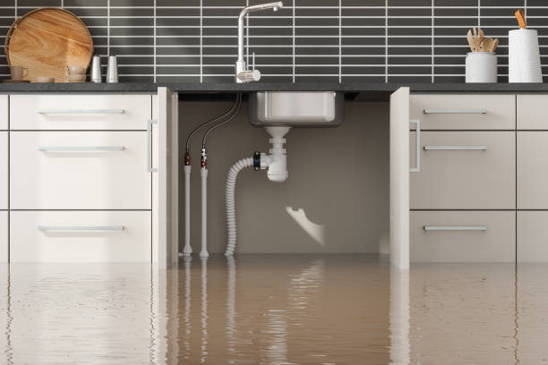 Best Water damage mitigation services  in Jupiter Farms, FL