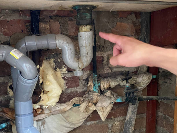 Best Water damage restoration near me  in Jupiter Farms, FL