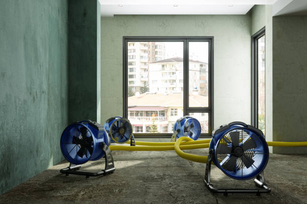 Best Residential water damage restoration  in Jupiter Farms, FL